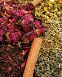 VSTEAM HERB BLEND